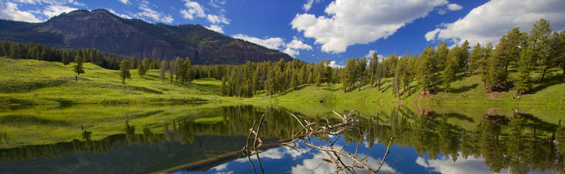 Yellowstone